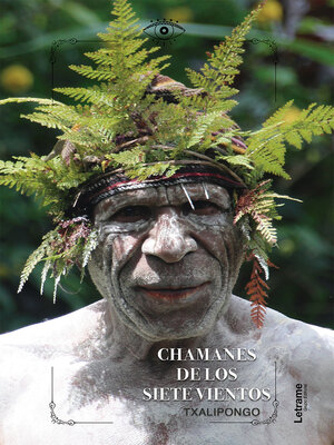 cover image of Chamanes de los siete vientos